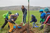 V Trutnově oslavili Den země výsadbou nového stromořadí.