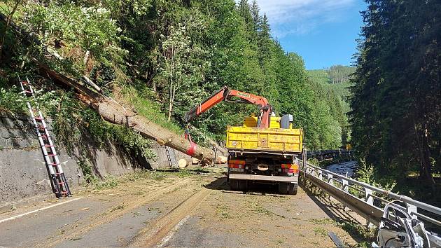 Padající strom dnes hodinu po poledni způsobil neštěstí. Silnice vedoucí směrem na Horní Malou Úpu bude min. do zítřejší 15. hodiny uzavřena z důvodu nebezpečí dalšího pádu stromů.