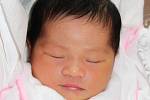 ANH BUI BAO se narodila 26. června v 18.41 hodin mamince Ut Dang Thi a tatínkovi Duc Bui Quang. Vážila 3,28 kg a měřila 48 cm. Doma v Hronově už na sestřičku čeká i bráška Anhvu Bui.