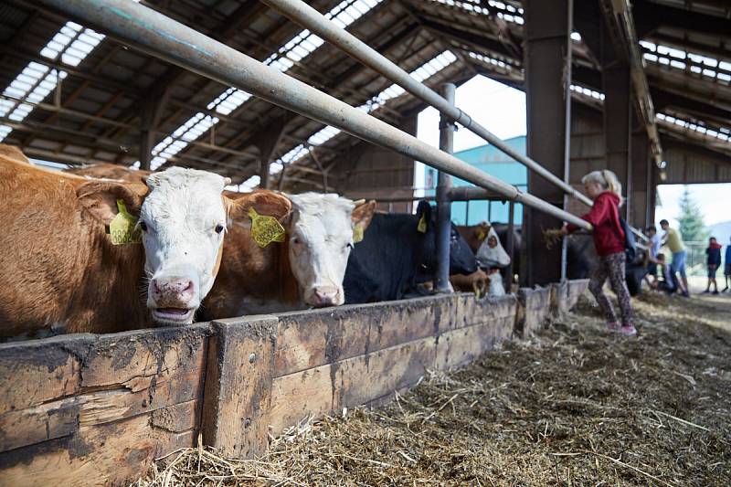 Na osvětovou akci do farmářského areálu ve Voletinách dorazilo téměř 1000 školáků.