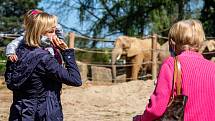 Safari Park zoo Dvůr Králové nad Labem vítá návštěvníky.