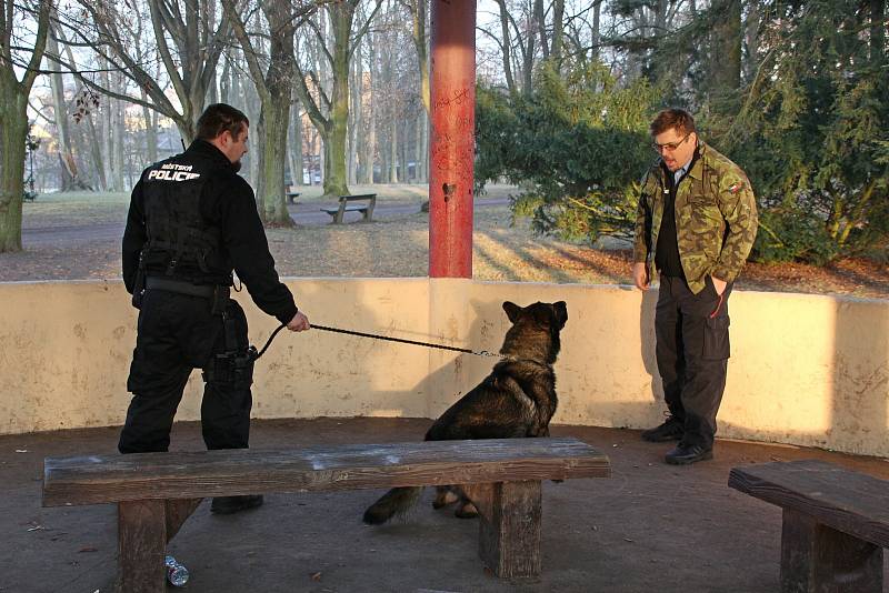 Městskou policii Dvůr Králové nad Labrm vede od roku 2018 Jan Štípek. Málokterá práce klade na zaměstnance takové nároky na bezúhonnost, zdravotní a odbornou způsobilost, kterou musí každých 5 let obhájit na zkouškách na MVČR, jako práce u městské policie