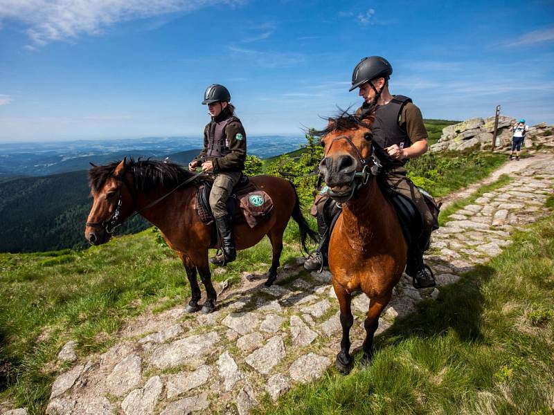 Strážci na koních v létě pomáhají turistům