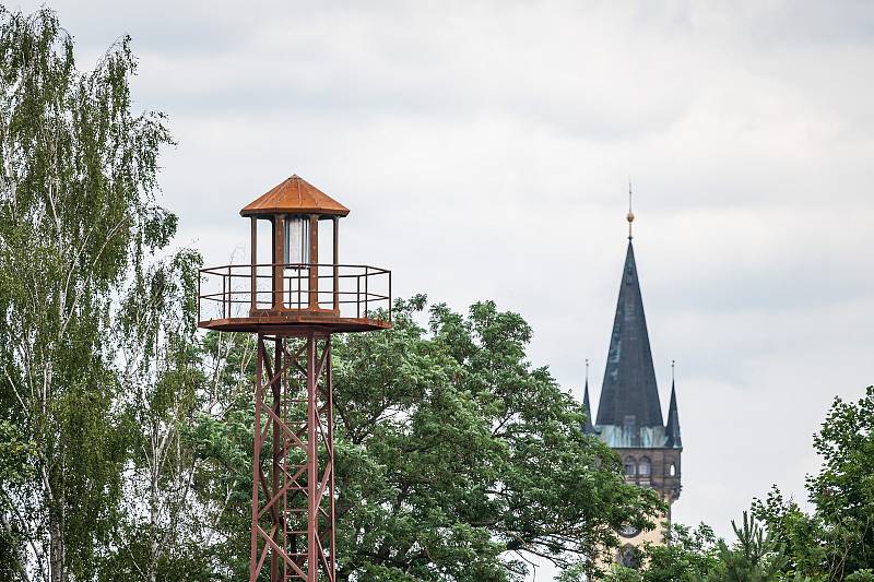 V Safari Parku Dvůr Králové už návštěvníci mohou vidět tučňáky brýlové. Nová expozice za 43 milionů korun je největší v Česku a na Slovensku