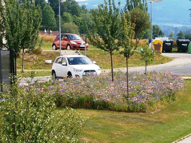 Z vlastních peněz zafinancoval semena květin a vytvořil louku