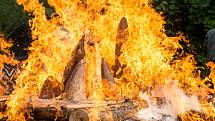 Zoologická zahrada ve Dvoře Králové spálila 19. září na protest proti nelegálnímu obchodu se zvířaty a pytláctví 33 kilogramů nosorožčí rohoviny.