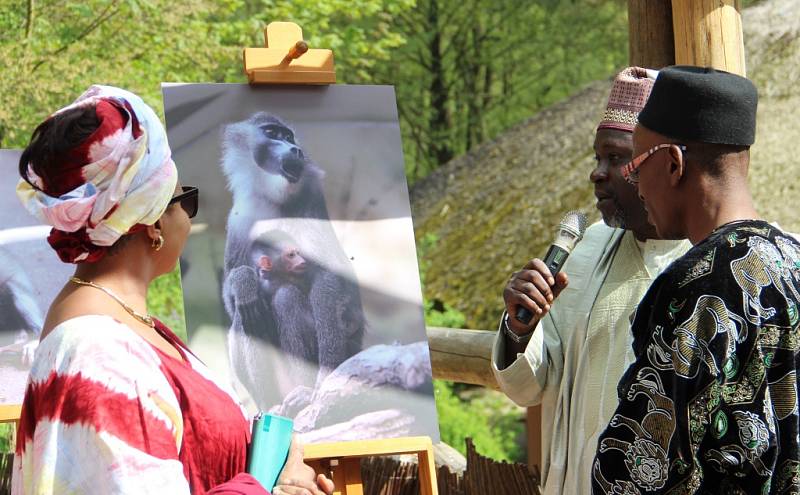 Zoo Dvůr Králové vítá návštěvníky už sedmdesát let