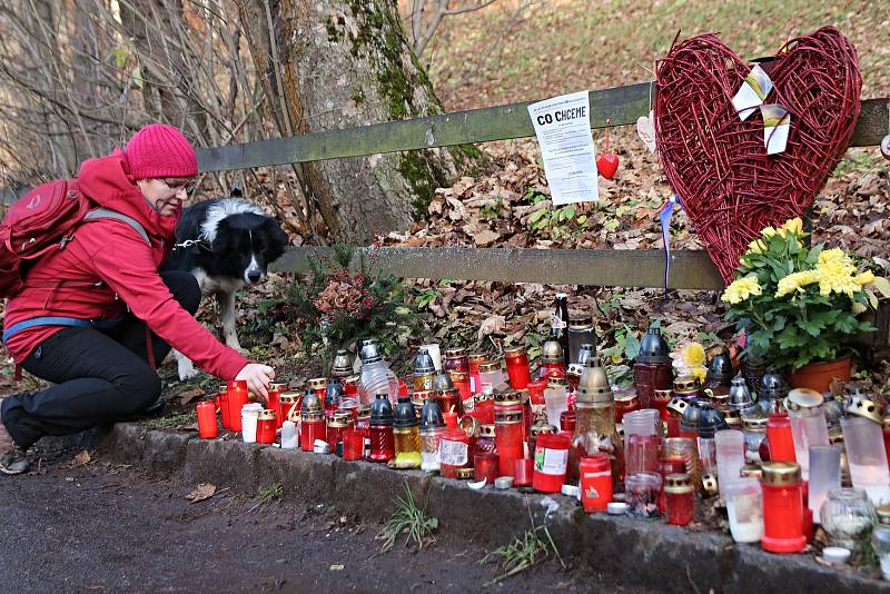 Celou neděli desítky lidí zapalovaly svíčky u chalupy Václava Havla na Hrádečku ve Vlčicích.