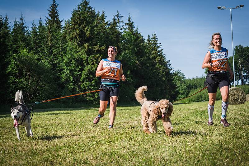 Krkonošský canicross se konal v sobotu ve Vrchlabí.