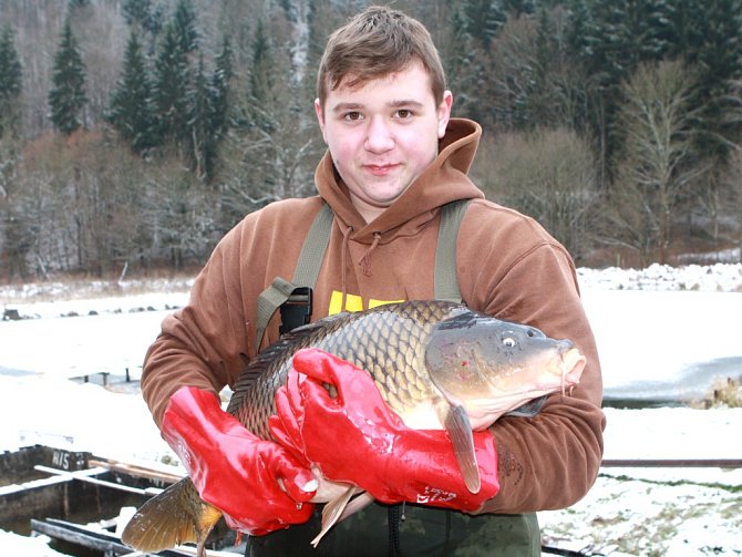 TO JE MACEK! Jeden z trutnovských rybářů Lukáš Saibert s devítikilovým kaprem v petříkovických sádkách.