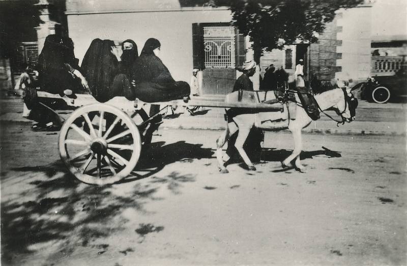 Muzeum Podkrkonoší v Trutnově jako první v Česku vystavuje dílo slavného fotografa Rudolfa Franze Lehnerta, rodáka z krkonošské Velké Úpy