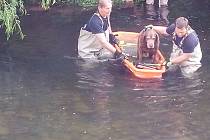 Psa z řeky zachránili hasiči.