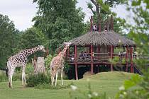 Lídrem turistických cílů v Královéhradeckém kraji je dlouhodobě Safari Park Dvůr Králové.