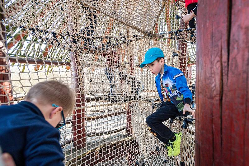 V sobotu 26. března navštívilo Safari Park Dvůr Králové 3814 lidí.