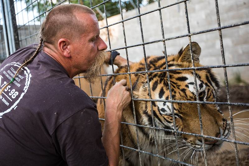 Nejpozoruhodnějším místem je středověký hrad v Černé Vodě u Žacléře, který si tam postavil Martin Zeman. Jeho hrad není veřejně přístupný, nicméně občas tam nějaké návštěvy zabrousí. Pumu, lva, lvice a nově i tygra chová soukromý majitel.