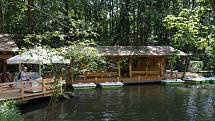Letní novinkou v Safari Parku Dvůr Králové jsou šlapadla, na kterých lze jezdit na rybníku u Jezera hrochů.