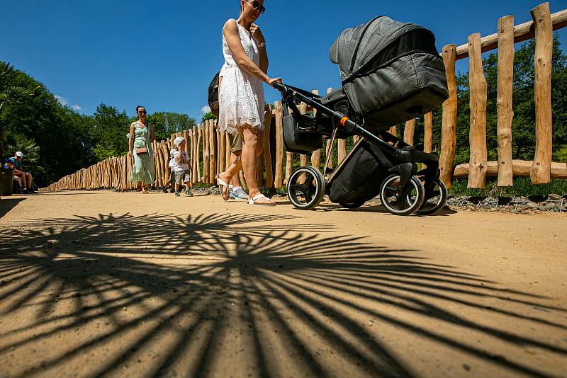 Safari Park Dvůr Králové otevřel novou cestu podél Jezera hrochů, nahradila 50 let starý most.