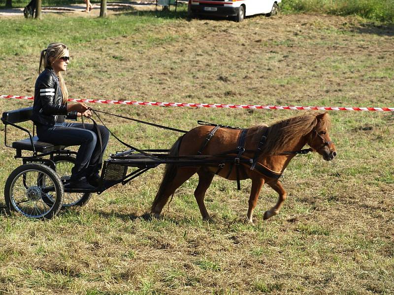 Slavnosti koní, řemesel a historie v Kuksu 2013