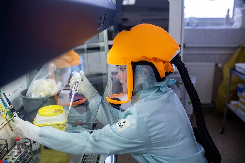 Laborantky v mikrobiologické laboratoři trutnovské nemocnice zkoumají přítomnost koronaviru v donesených vzorcích, vyšetřily jich už 3174.
