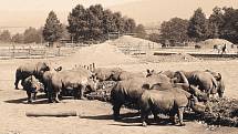 Královédvorská zoo si připomíná 76 let ode dne, kdy se brány otevřely veřejnosti.