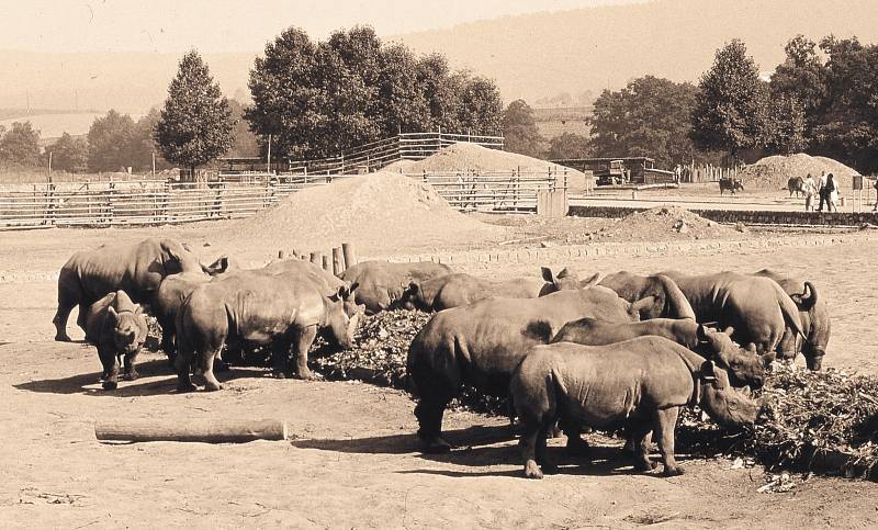 Královédvorská zoo si připomíná 76 let ode dne, kdy se brány otevřely veřejnosti.