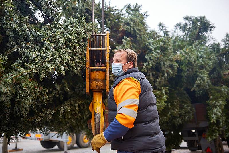 Instalování vánočního stromu na Krakonošově náměstí v Trutnově.