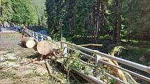 Na silnici mezi Velkou Úpou a Horní Malou Úpou na Trutnovsku zemřeli v neděli odpoledne tři lidé poté, co na jejich auto spadl strom