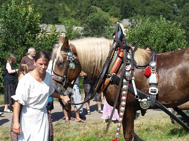 Slavnosti koní, řemesel a historie v Kuksu 2013