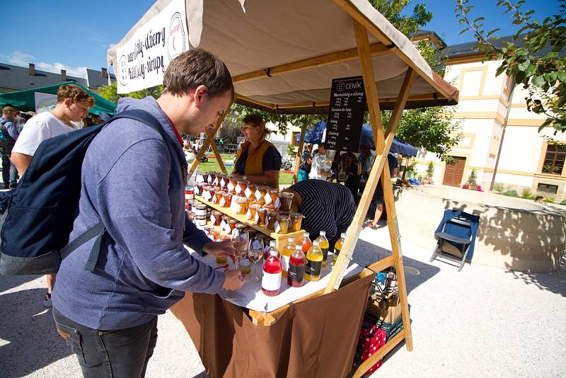 Při Vinobraní v Kuksu teklo po kaskádovém schodišti v barokním areálu v Kuksu víno.