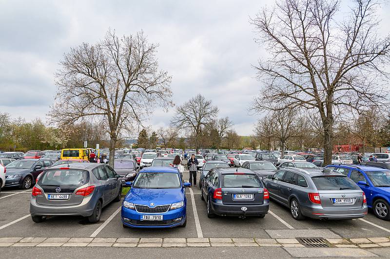 V sobotu dorazilo do Safari Parku Dvůr Králové 3374 lidí.