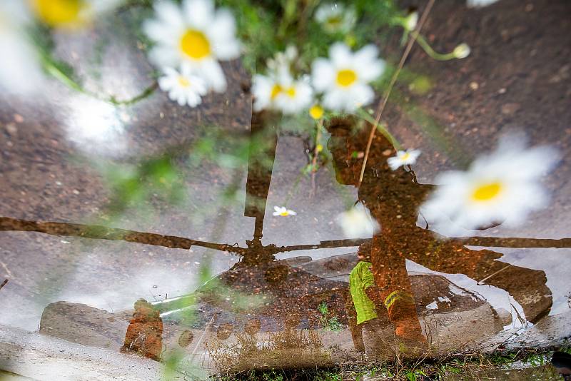 Vrtulník usazoval v pondělí odpoledne konstrukci rozhledny na vrch Žaltman v Jestřebích horách u Malých Svatoňovic.