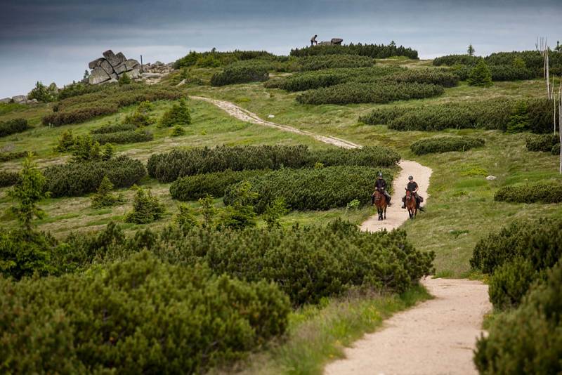 Strážci na koních v létě pomáhají turistům