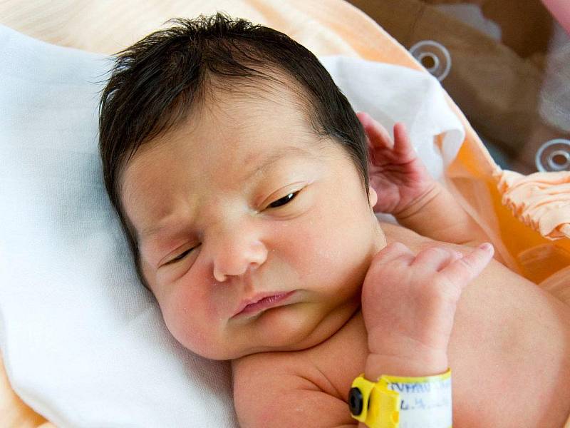 Lenka Tvarůžková přišla na svět v jilemnické porodnici 16. července. Při narození vážila 3,48 kilogramů a měřila 51 centimetrů. Bydlet bude ve Starém Bydžově.