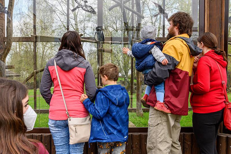 V sobotu dorazilo do Safari Parku Dvůr Králové 3374 lidí.