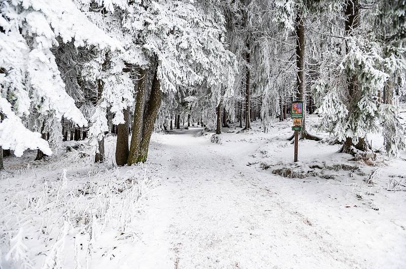 Skiareál Malá Úpa zahájil v sobotu 3. prosince 2022 lyžařskou sezonu.