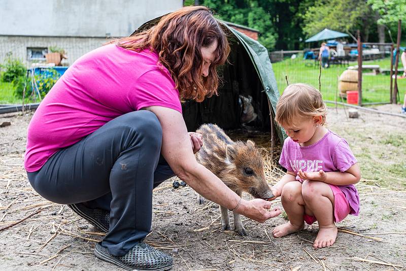 Ekocentrum Dotkni se křídel navštívily rodiny s dětmi při 1. narozeninách kolouška Bambiho.