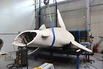Žralok v nadpřirozené velikosti vzniká z šestnácti tun nerezové oceli. Na realizaci uměleckého díla firma pracuje čtyři měsíce.