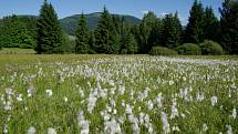 Krkonošský národní park existuje 55 let, byl vyhlášen 17. května 1963.