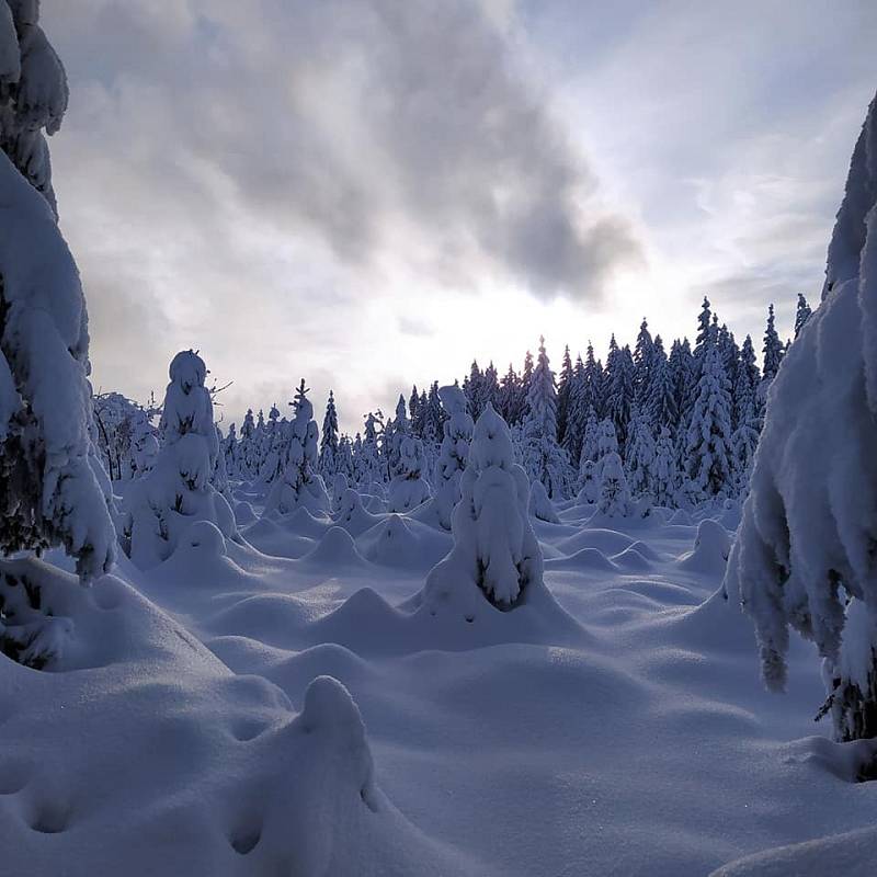 Krkonoše.