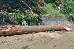 Silnice na Malou Úpu, kde v neděli padající strom zabil tři lidi, zůstala v pondělí uzavřená. Na místě pracovali lesníci Správy KRNAP a kriminalisté.