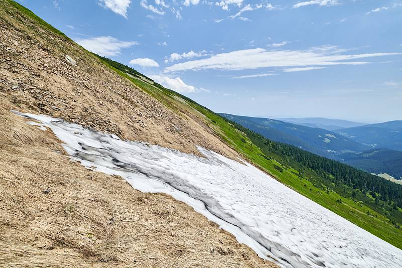 Krkonošská příroda, nafocená 1. července 2019.