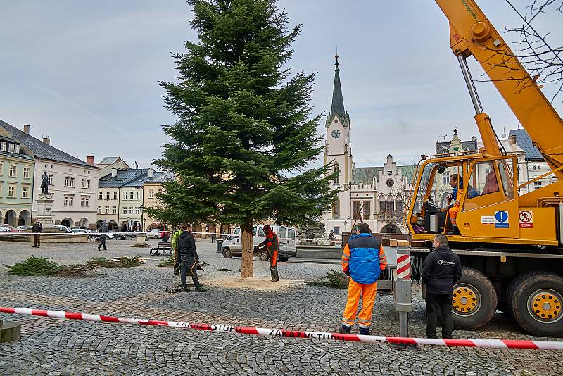 V Trutnově stojí od pondělí na Krakonošově náměstí vánoční strom.