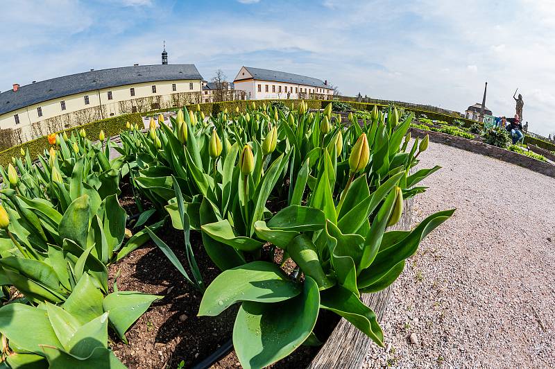 Venkovní prostory barokního areálu Hospitálu Kuks jsou lidem přístupné každý den až do setmění.