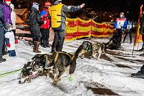 V Peci pod Sněžkou odstartoval 28. ročník Ledové jízdy, na noční etapu vyrazily posádky musherů v tandemu s běžkaři.