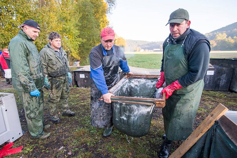 Výlov chovného rybníka Jindra v Havlovicích.