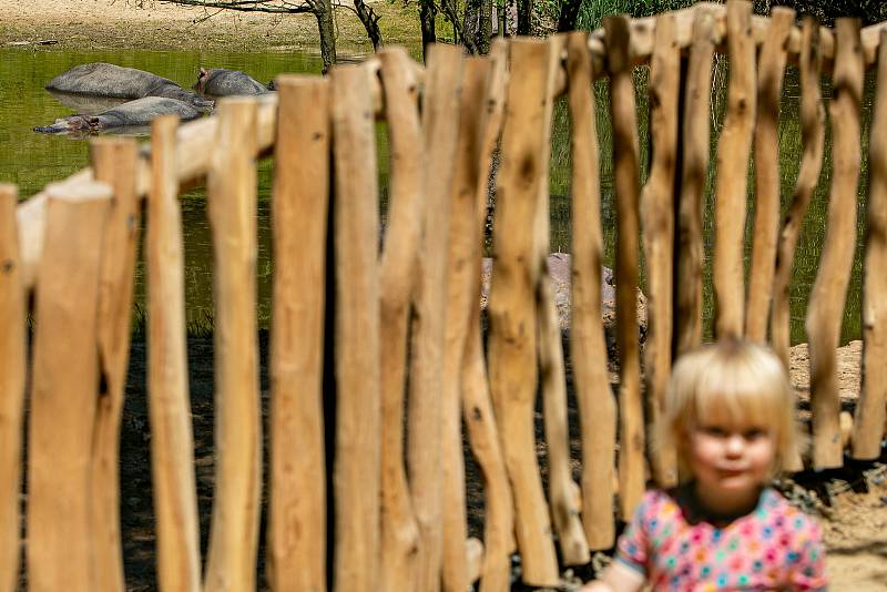 Safari Park Dvůr Králové otevřel novou cestu podél Jezera hrochů, nahradila 50 let starý most.