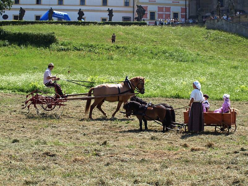 Slavnosti koní, řemesel a historie v Kuksu 2013