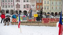 Demonstrace odpůrců protipandemických opatření v Trutnově na Krakonošově náměstí v neděli 23. ledna.