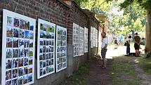 Uznávaný fotograf Bohdan Holomíček vystavil v sobotu fotky na hřbitovní zdi v Mladých Bukách.