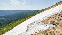 Krkonošská příroda, nafocená 1. července 2019.